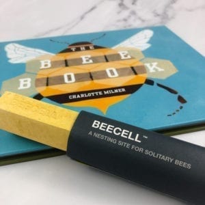A picture of a the big bee book and bee cell