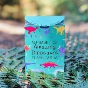 A picture of the the Alphabet of Amazing Dinosaurs Flash Cards