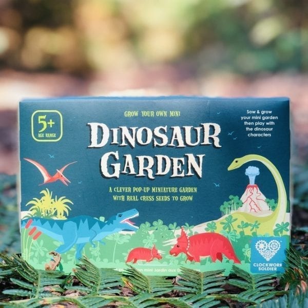 A picture of the Grow your own mini Dinosaur Garden