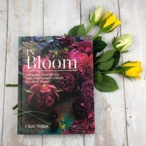 A picture of Bloom Book