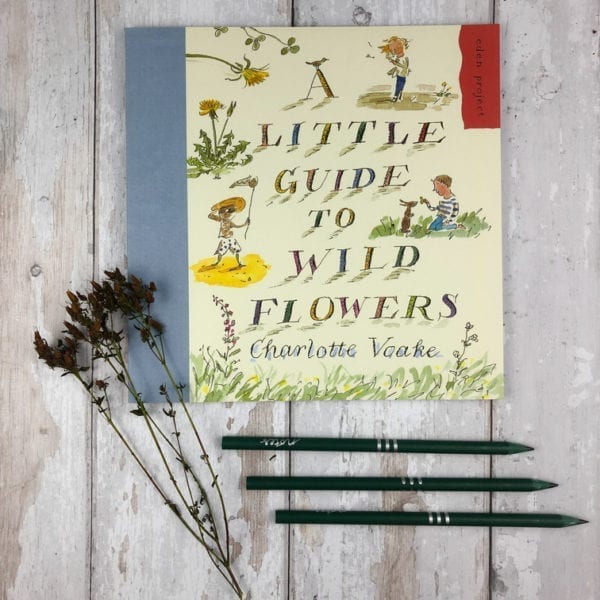 A picture of little guide to wild flower book
