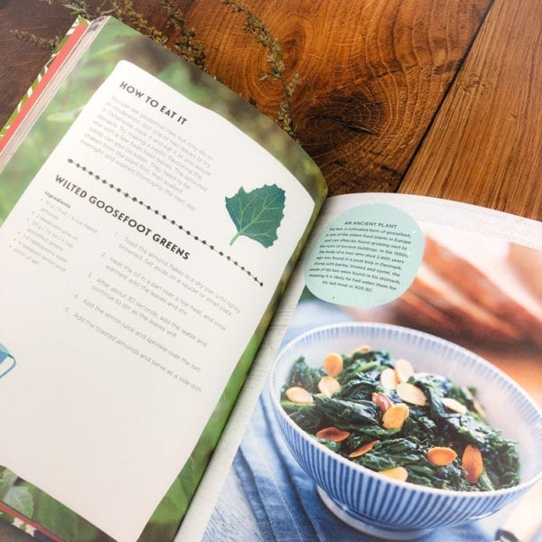 A picture of inside the family foraging book