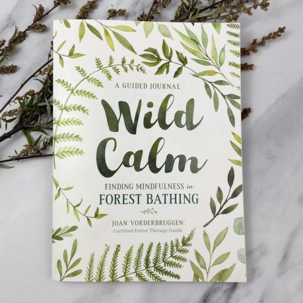 A picture of Wild Calm Book