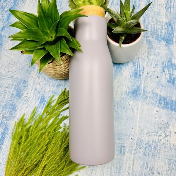 A picture of the U Star Water Bottle that is included in the Kayaking Wellness Box