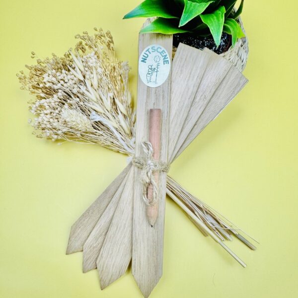 A picture of the plant labels that are included in the Allotment Care Package.
